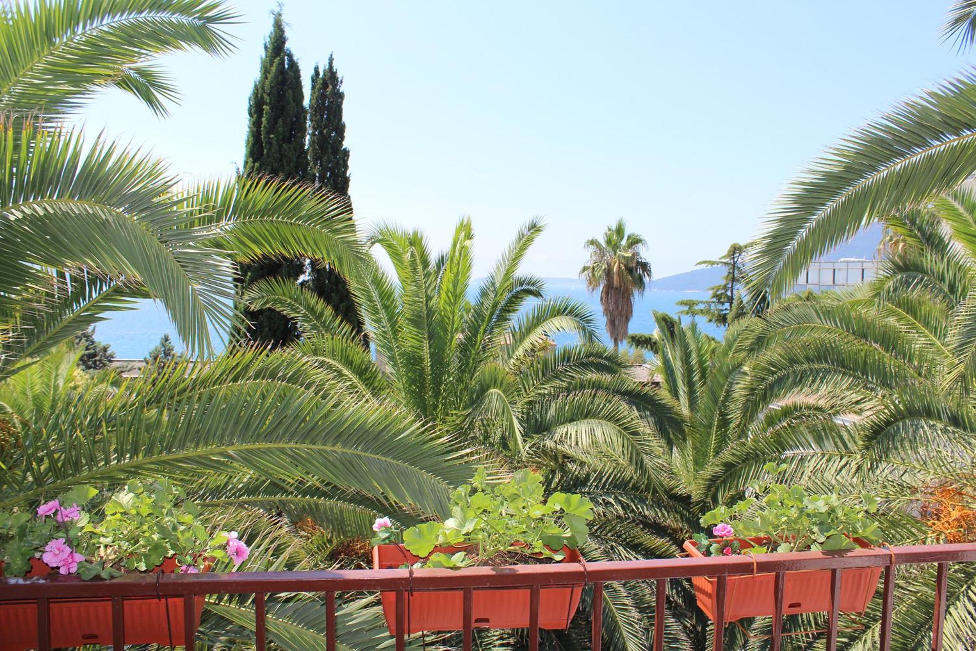 Apartmani I Sobe Goca Herceg Novi Exteriör bild