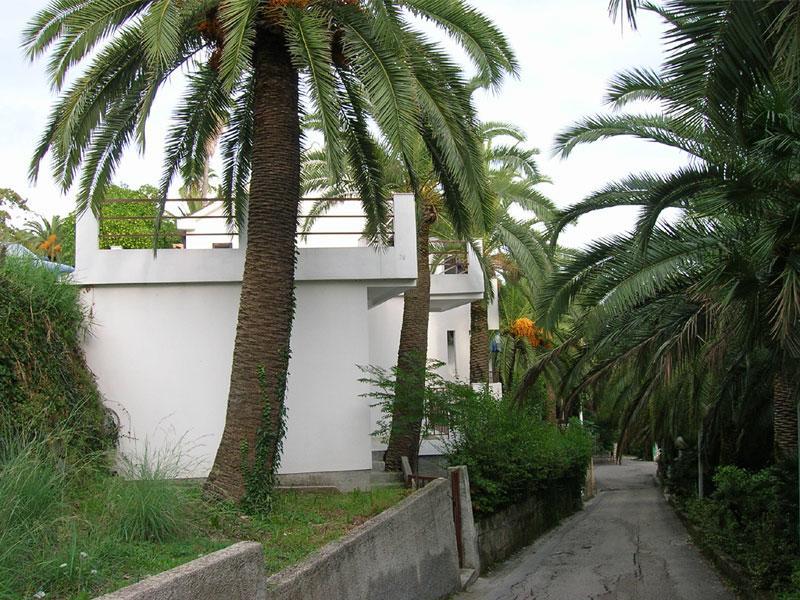 Apartmani I Sobe Goca Herceg Novi Exteriör bild