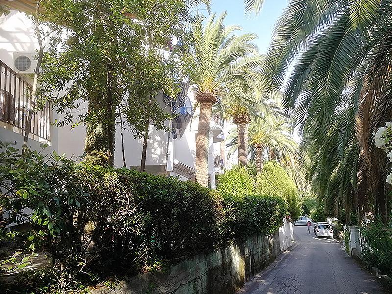 Apartmani I Sobe Goca Herceg Novi Exteriör bild