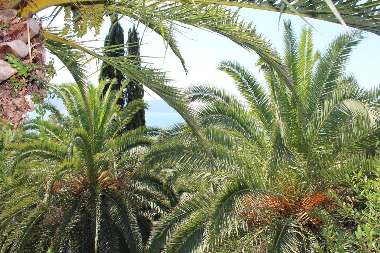 Apartmani I Sobe Goca Herceg Novi Exteriör bild